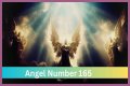 
ANGEL NUMBER 165
