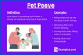 Common Pet Peeves: Everyday Annoyances