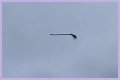 Disturbing video shows floating broom in the middle of the air and the internet is losing its collective mind