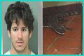 Florida Man Throws Crocodile In Drive Thru