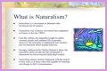 What is naturalism and its characteristics? – Janet-Panic.com