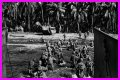 WWII's Most Daring Raids - Smithsonian Channel